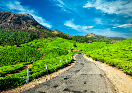 traveldilse-Spectacular Kerala